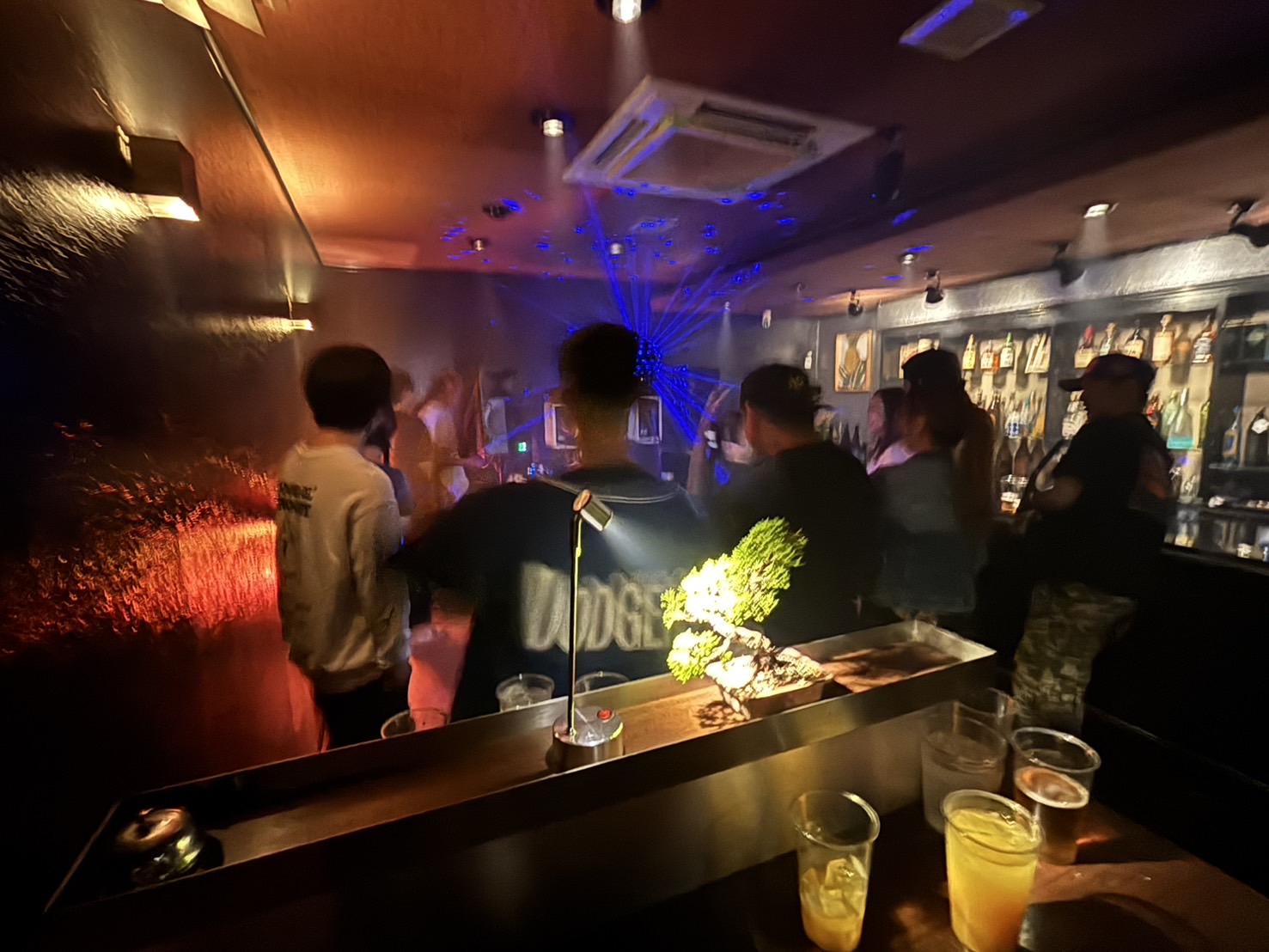 Bar Artemis ギャラリー写真 2
